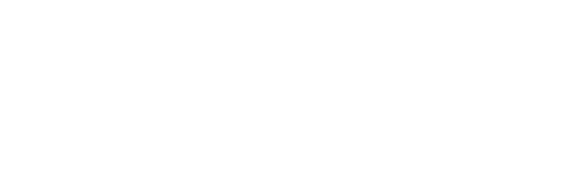 Logo Toni Reollo